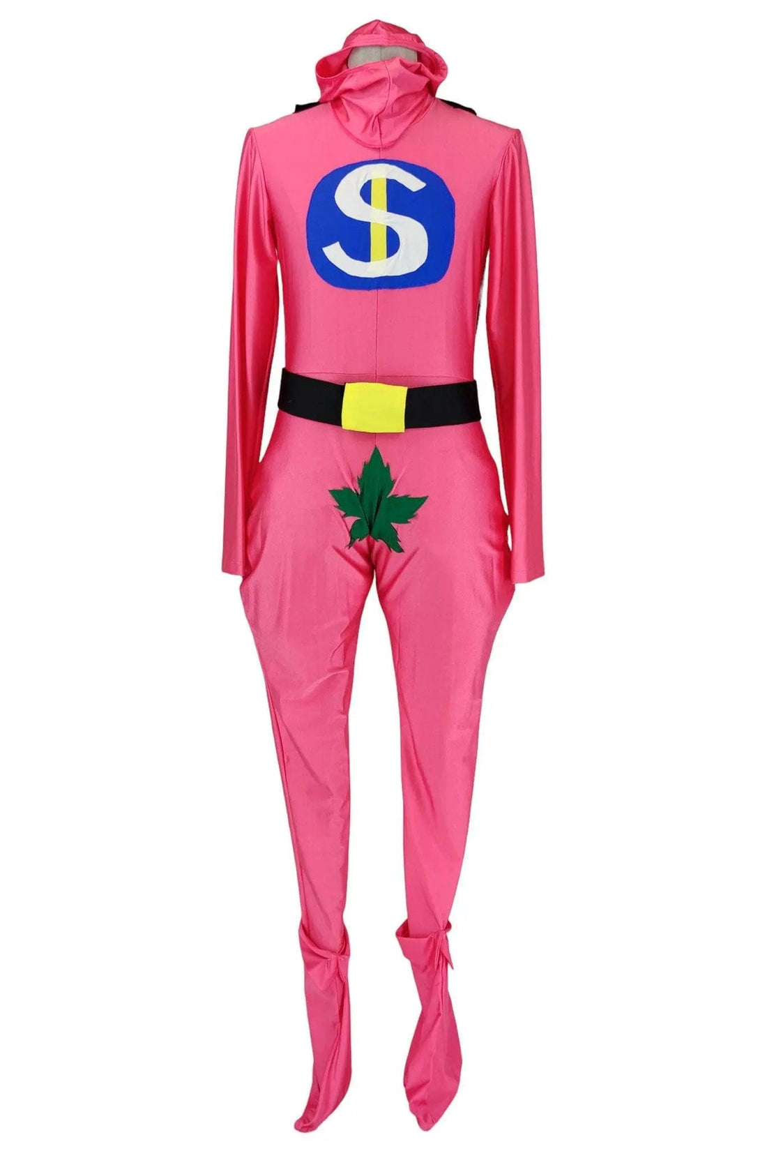 noleggio-costume-carnevale-donna-super-eroe-mister-dollaro_1